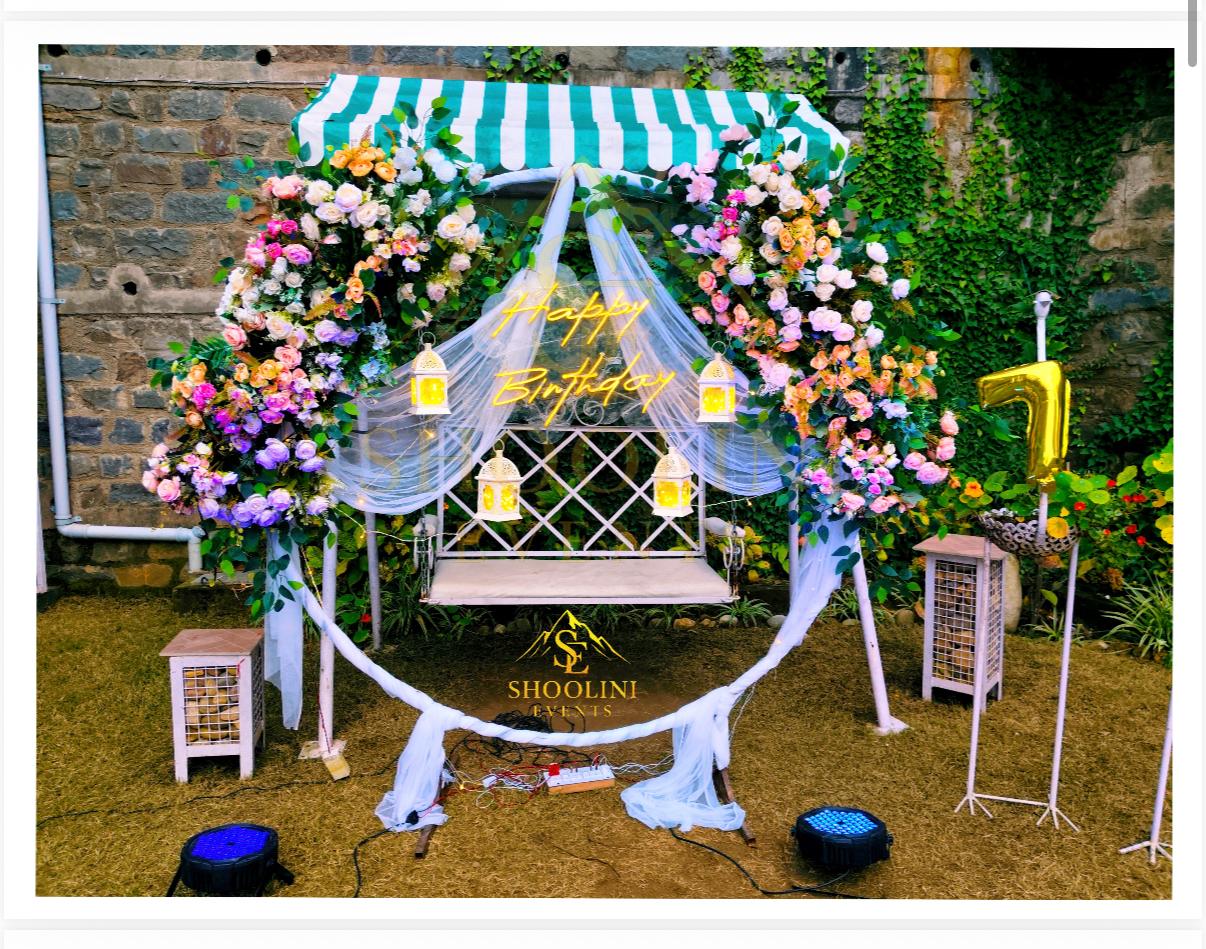 Themed birthday party